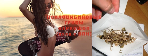 крисы Новозыбков