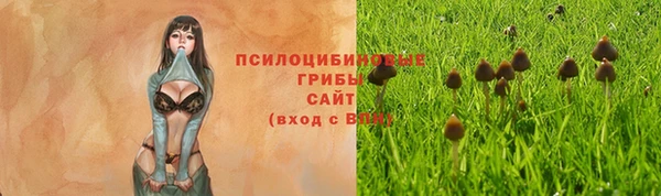 мет Нефтегорск