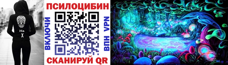Псилоцибиновые грибы ЛСД  Лодейное Поле 